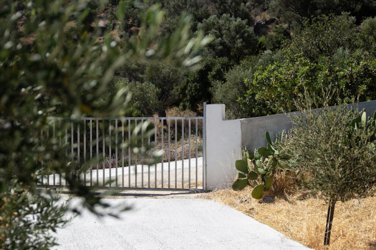 Triopetra Green Dream Εξωτερικό φωτογραφία